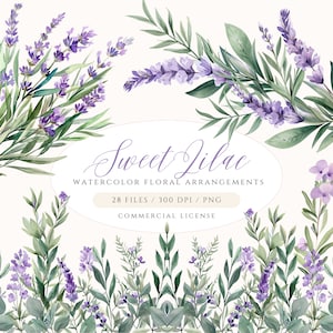 Aquarelle Lavande Clipart, Bordure de lavande, Clipart floral violet, Couronne de lavande, Clipart lilas doux, Fleur lilas PNG, Utilisation commerciale