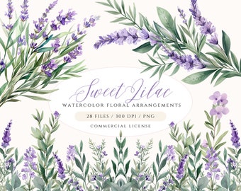 Set di clipart di lavanda ad acquerello: ghirlanda floreale e bordo (PNG, uso commerciale)