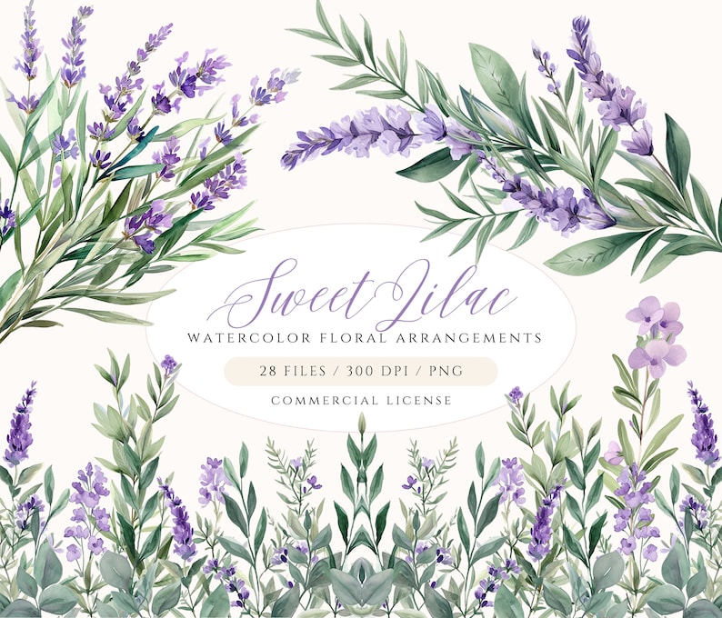 Puede incluir: Ilustraciones de acuarela de flores de lavanda y follaje en tonos de morado y verde. Las ilustraciones est&aacute;n dispuestas en un borde alrededor del texto "Sweet Lilac Watercolor Floral Arrangements 28 Files / 300 DPI / PNG Commercial License".