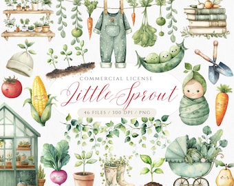 Little Sprout Watercolor Clipart: Locally Grown Farmers Market Fruit and Veg PNG