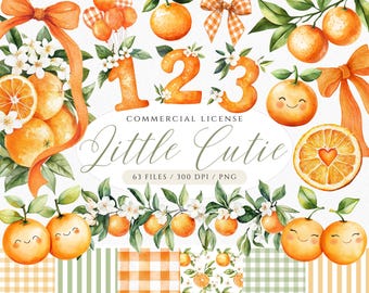 Watercolor Orange Clipart: Little Cutie Baby Shower Graphics (PNG Digital Download)