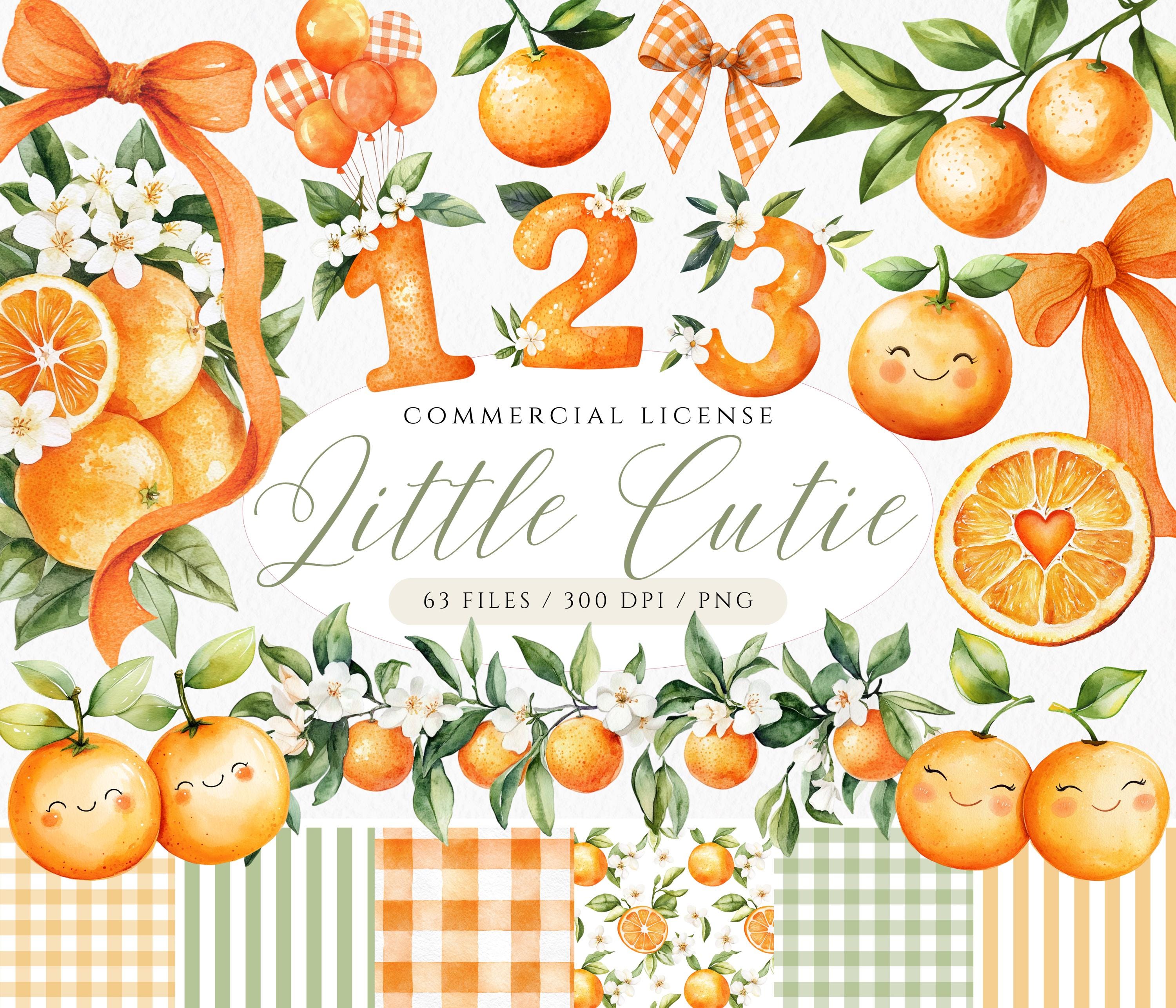 水彩オレンジのクリップアート：かわいいベビーシャワーのグラフィック（PNGデジタルダウンロード） - Etsy 日本, image size:3000x2571