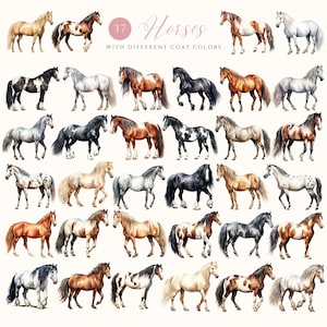 May include: 37 watercolor illustrations of horses with different coat colors. The horses are depicted in various poses and with different markings.