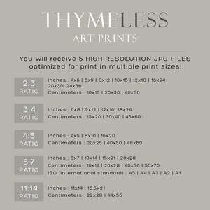 May include: A graphic showing five different aspect ratios for digital art prints, with corresponding measurements in inches and centimeters. The aspect ratios are 2:3, 3:4, 4:5, 5:7, and 11:14. The graphic also includes ISO standard paper sizes for the 5:7 aspect ratio.