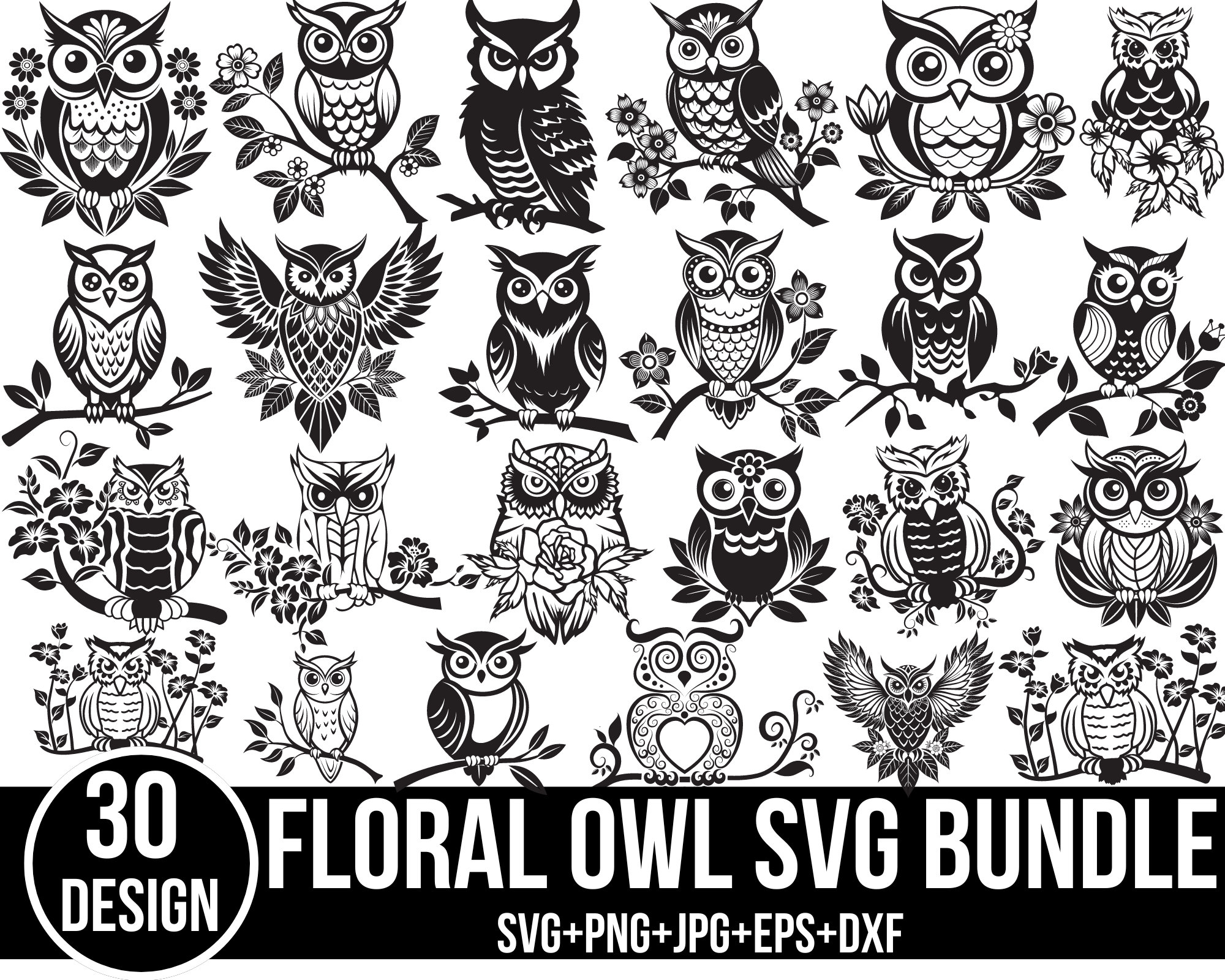 Floral Owl SVG Bundle, Zentangle Bird Clipart (30 Files)