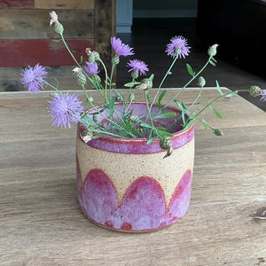 May include: A cylindrical ceramic vase with a speckled cream-colored upper section and a vibrant magenta scalloped pattern along the base. The vase contains several stems of purple cornflower blossoms with green foliage and unopened buds.