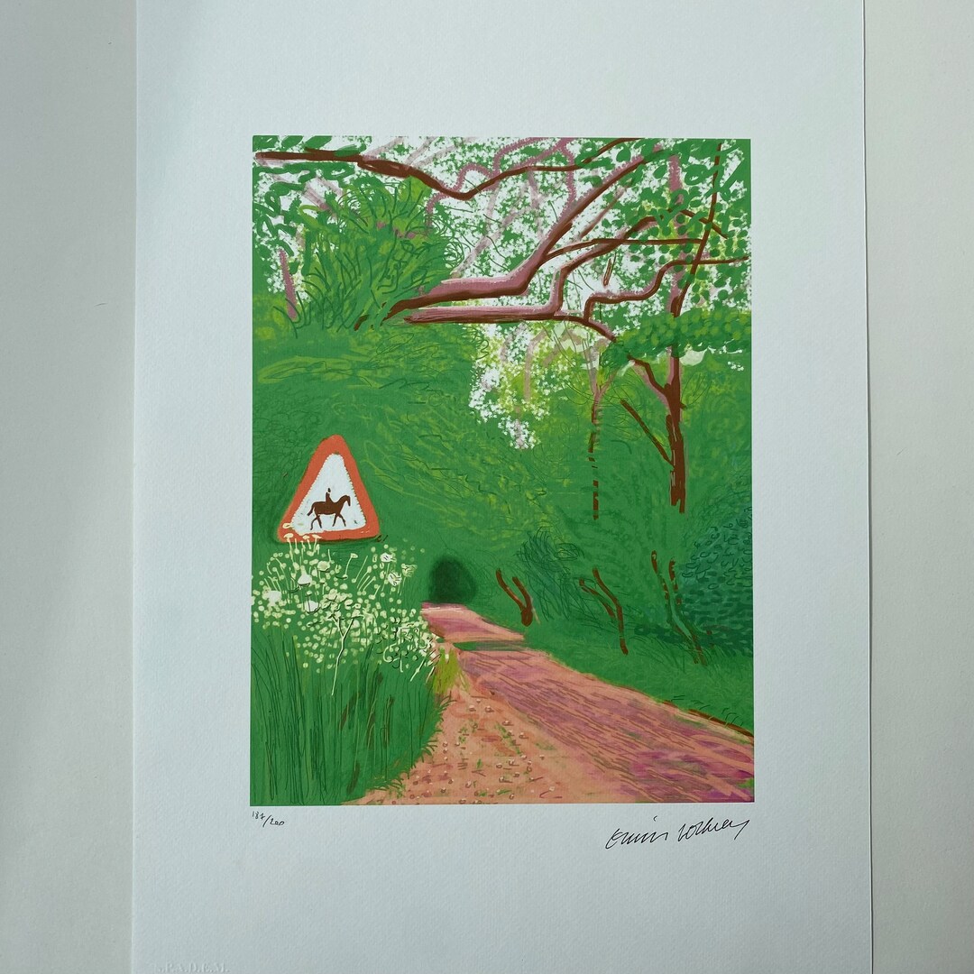 David Hockney Lithography Certificate Signed Top Wall Art Etsy