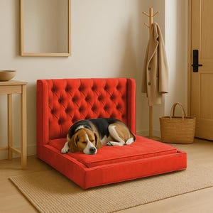 Cama de diseño para perros, sofá moderno para mascotas, muebles acogedores para perros, cama tapizada a medida, sofá naranja para perros, cama premium para mascotas, regalo para amantes de los perros