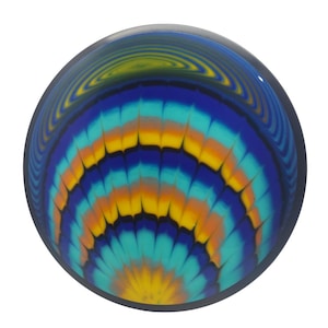 MVP Neutron Servo Custom Hand Dyed Disc Golf Disc 173 g Brand New Never Thrown Unique Disc Golf Gift Fairway Driver