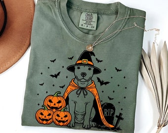 Pitbull Halloween Shirt | Spooky Pittie Witch T-Shirt | Pumpkin Pitbull Dog Tee | Funny Halloween Dog Lover Gift | Fall Pit Bull Shirt