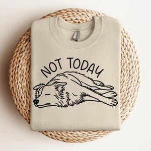 Felpa con cappuccio Border Collie Not Today, regalo per gli amanti dei cani Collie, maglione per mamme di cani Lazy Day, felpa divertente Border Collie, simpatico regalo Border Collie