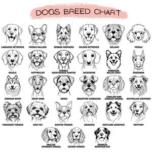 K&ouml;nnte beinhalten: Ein Schwarzwei&szlig;-Diagramm mit Illustrationen von 20 verschiedenen Hunderassen. Jede Rasse ist mit ihrem Namen beschriftet. Das Diagramm tr&auml;gt den Titel "Dogs Breed Chart".