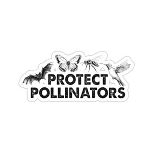 Protect Pollinators Sticker, Bat Lover, Save The Bees, Botanical Nature Sticker, Forestcore, Nature Lover Sticker, Nature Sticker