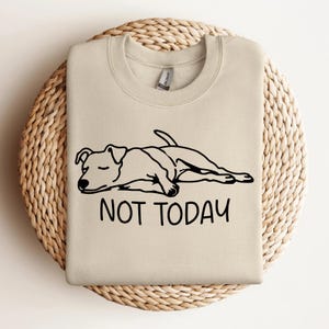 Fellow Friends - Jack Russell Sweater, Eat Sleep Walk Jack Russell Sweatshirt Mens Womens Gifts Medium Grey 108109622