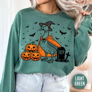 May include: A light green sweatshirt with a graphic of a goose wearing a witch hat and a cape. The goose is surrounded by pumpkins and a tombstone that says "RIP".