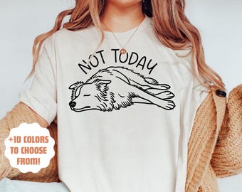 Camiseta de Border Collie "Hoy no", regalo divertido para amantes de los perros, camiseta divertida para mamá de perro, camiseta de Collie para un día tranquilo, camiseta linda de Collie, regalo para dueños de perros Collie