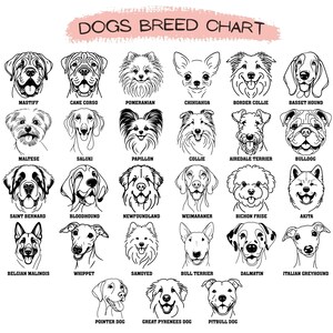 K&ouml;nnte beinhalten: Eine schwarz-wei&szlig;e Grafik mit Illustrationen verschiedener Hunderassen. Jede Rasse ist mit ihrem Namen beschriftet. Die Grafik enth&auml;lt Rassen wie Mastiff, Cane Corso, Zwergspitz, Chihuahua, Border Collie, Basset Hound, Malteser, Saluki, Papillon, Collie, Airedale Terrier, Bulldogge, Bernhardiner, Bloodhound, Neufundl&auml;nder, Weimaraner, Bichon Fris&eacute;, Akita, Belgischer Sch&auml;ferhund, Whippet, Samojede, Bullterrier, Dalmatiner, Italienischer Windhund, Deutsch Kurzhaar, Pyren&auml;enberghund und Pitbull.