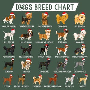 May include: A green chart featuring illustrations of various dog breeds, each wearing a Santa hat and festive lights. Breeds include Cavalier Spaniel, Yorkshire Terrier, Chow Chow, Pomeranian, Bull Terrier, and more. The title reads "DOGS BREED CHART."