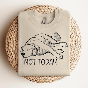 Not Today Golden Retriever Sweatshirt | Funny Retriever Dog Sweater |  Retriever Dog Lover | Golden Dog Mom Gift | Retriever Sweatshirt
