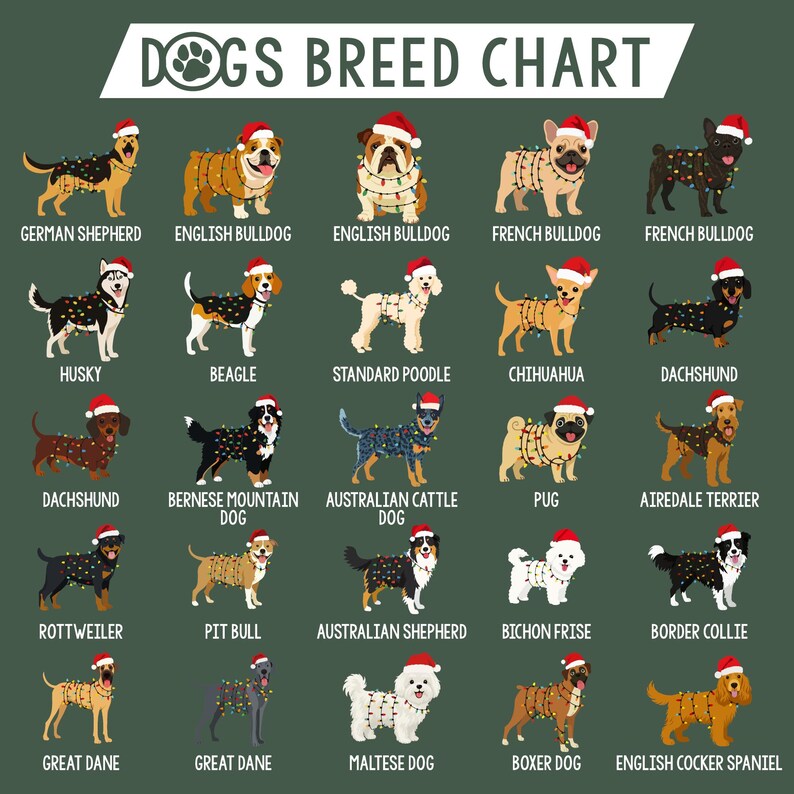 May include: A green chart titled "DOGS BREED CHART" featuring illustrations of various dog breeds, each wearing a Santa hat and string lights. Breeds include German Shepherd, English Bulldog, Husky, Beagle, Dachshund, Rottweiler, Great Dane, and more.