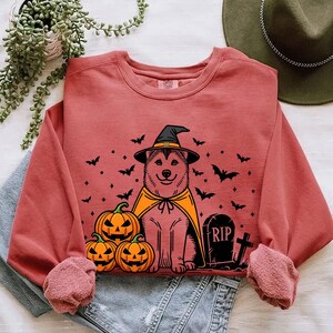 May include: A red sweatshirt with a Halloween-themed design featuring a dog wearing a witch hat and cape, pumpkins, and a tombstone with the inscription "RIP".