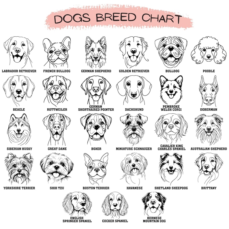 May include: A black and white chart featuring illustrations of 20 different dog breeds. Each breed is labeled with its name. The chart is titled "Dogs Breed Chart".