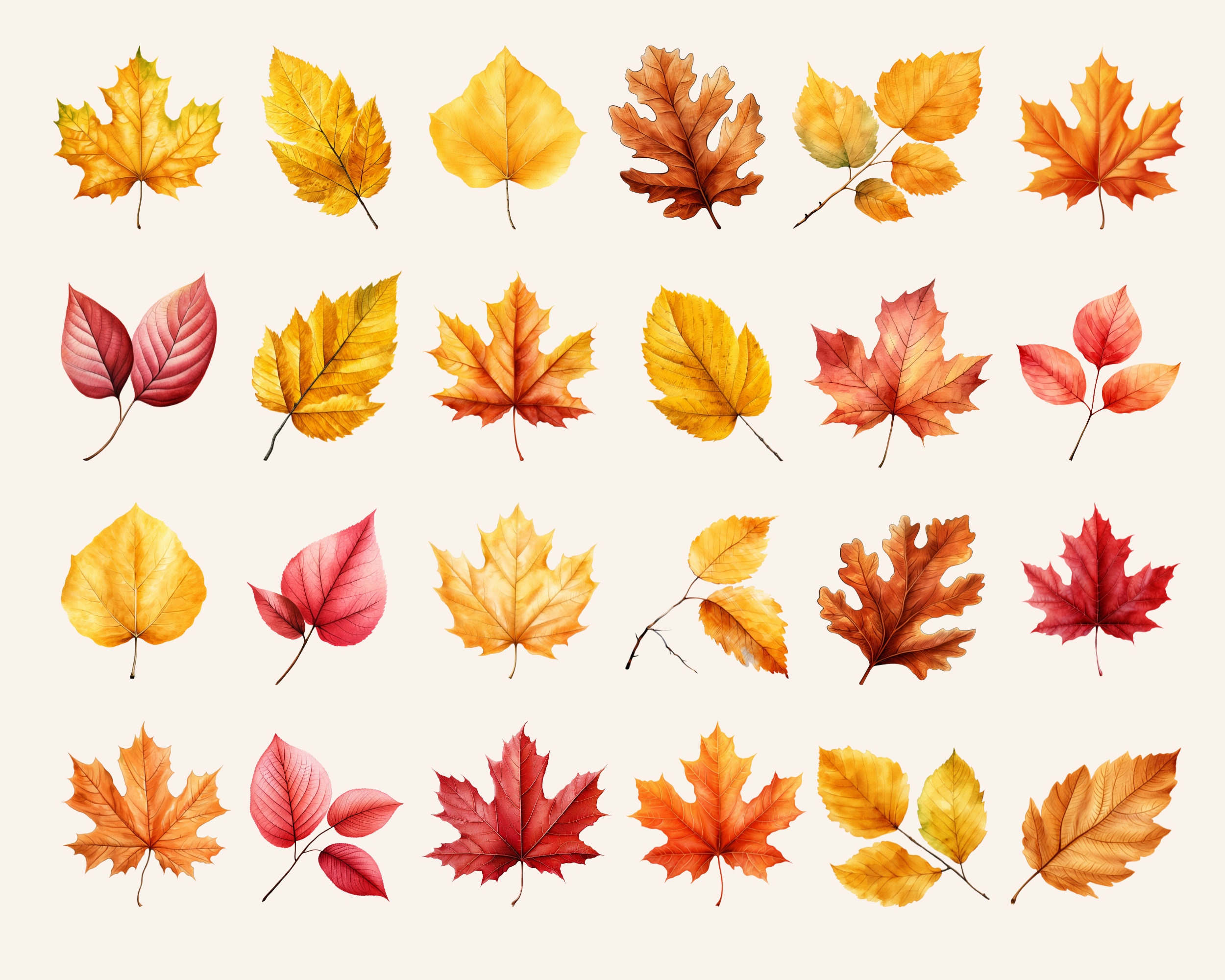 Autumn Leaves Clipart, Fall Leaf Clip Art, Commercial Use, Colorful ...