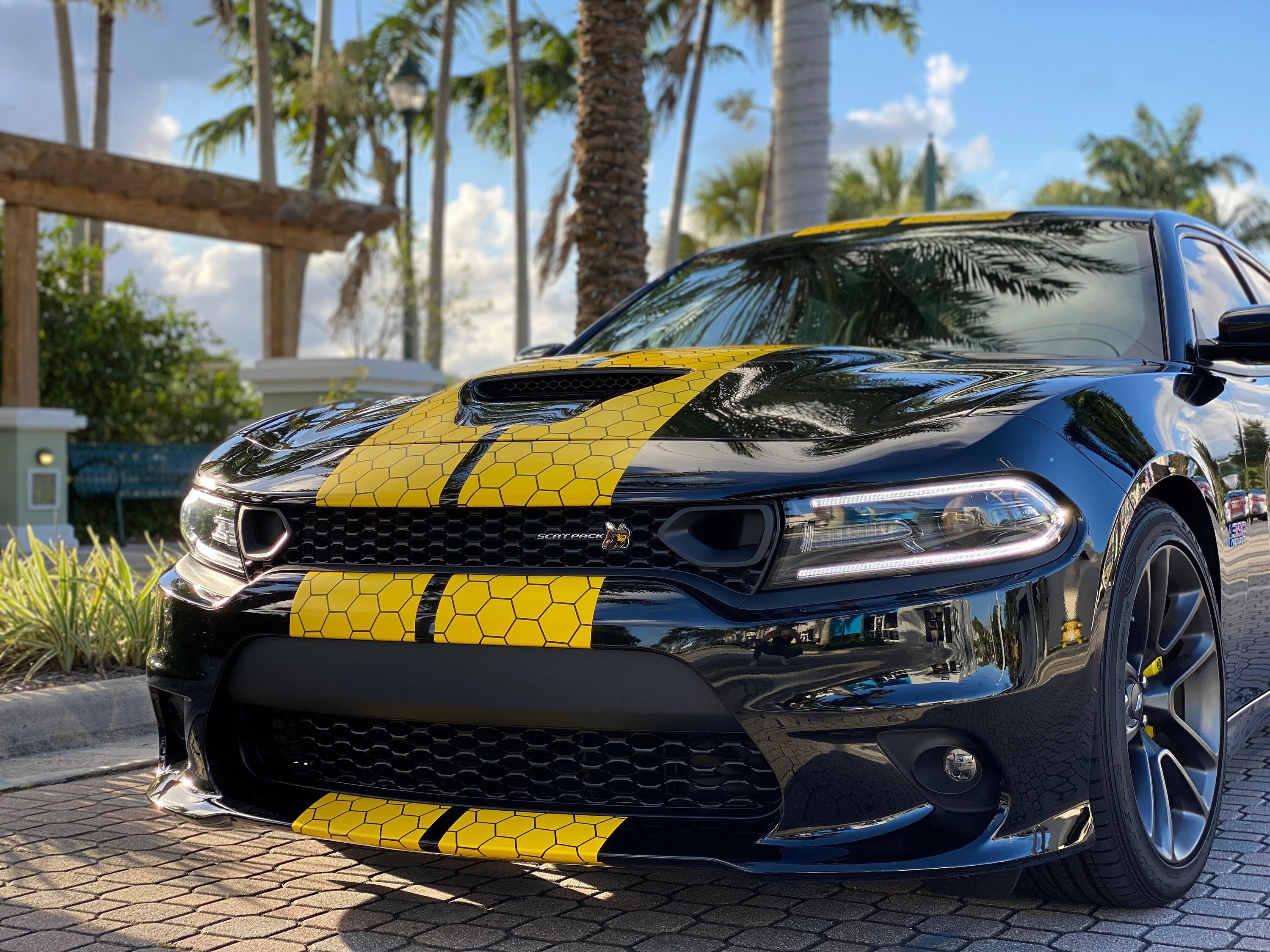 Honeycomb Racing Stripes Decal for Dodge Charger Challenger