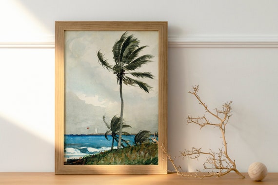 Palm Tree, Nassau Vintage Painting, Vintage Art Prints, Canvas