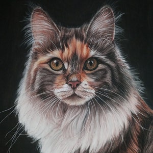 Custom Pet Portraits: Personalized Hand-drawn Colored Pencil or Pastel Drawings of Your Pets. Drawn from your photos. Realistic Pet Drawings