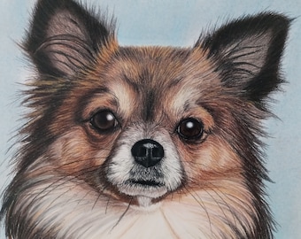 Custom Pet Portraits: Personalized Hand-drawn Colored Pencil and Pastel Drawings of Your Pets. Drawn from Photos. Realistic Animal Drawings