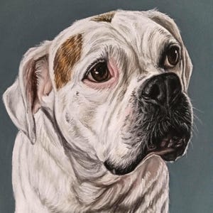Custom Pet Portrait: Hand-Drawn Colored Pencil or Pastel Animal Drawing