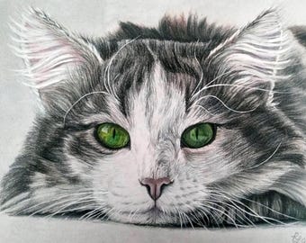 Custom Pet Portrait: Hand-Drawn Colored Pencil or Soft Pastel Animal Drawing | Drawn from Your Photo