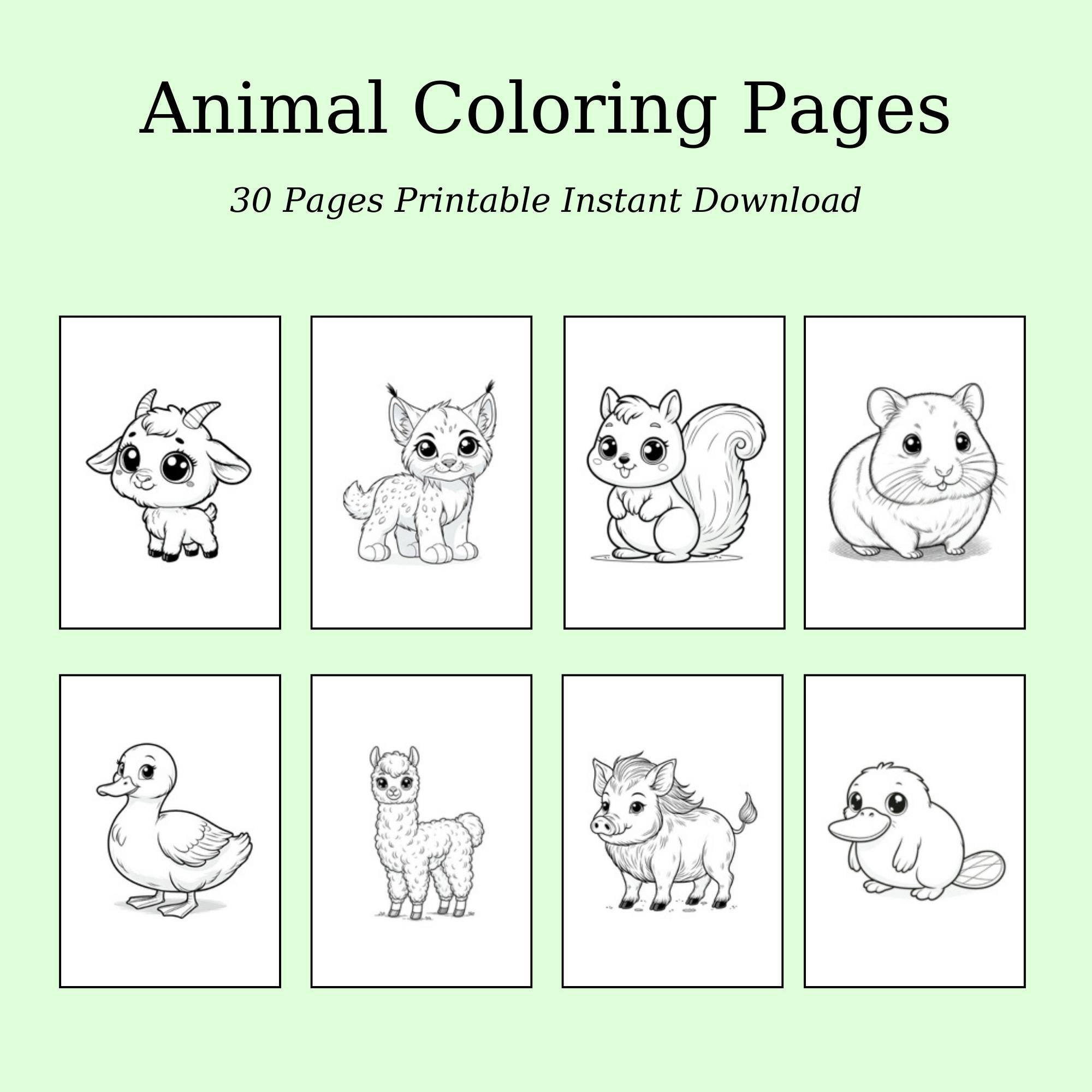 Animal Coloring Pages for Kids | 30 Printable Preschool Worksheets (PDF ...