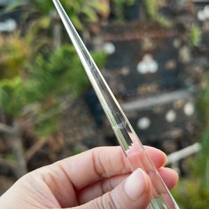 Puede incluir: Una herramienta de vidrio transparente con un extremo afilado y puntiagudo y una base redondeada. La herramienta se sostiene en una mano, con un fondo borroso verde y marrón de follaje y piedra. El vidrio mide unos 15 cm de largo.