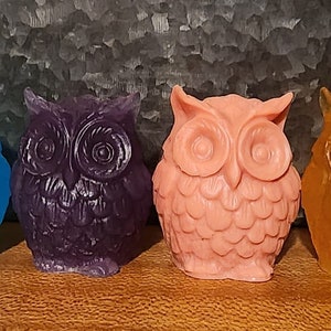 May include: Six owl-shaped soap bars in different colors: light blue, blue, purple, pink, yellow, and black. The owls are all facing forward with their eyes open.