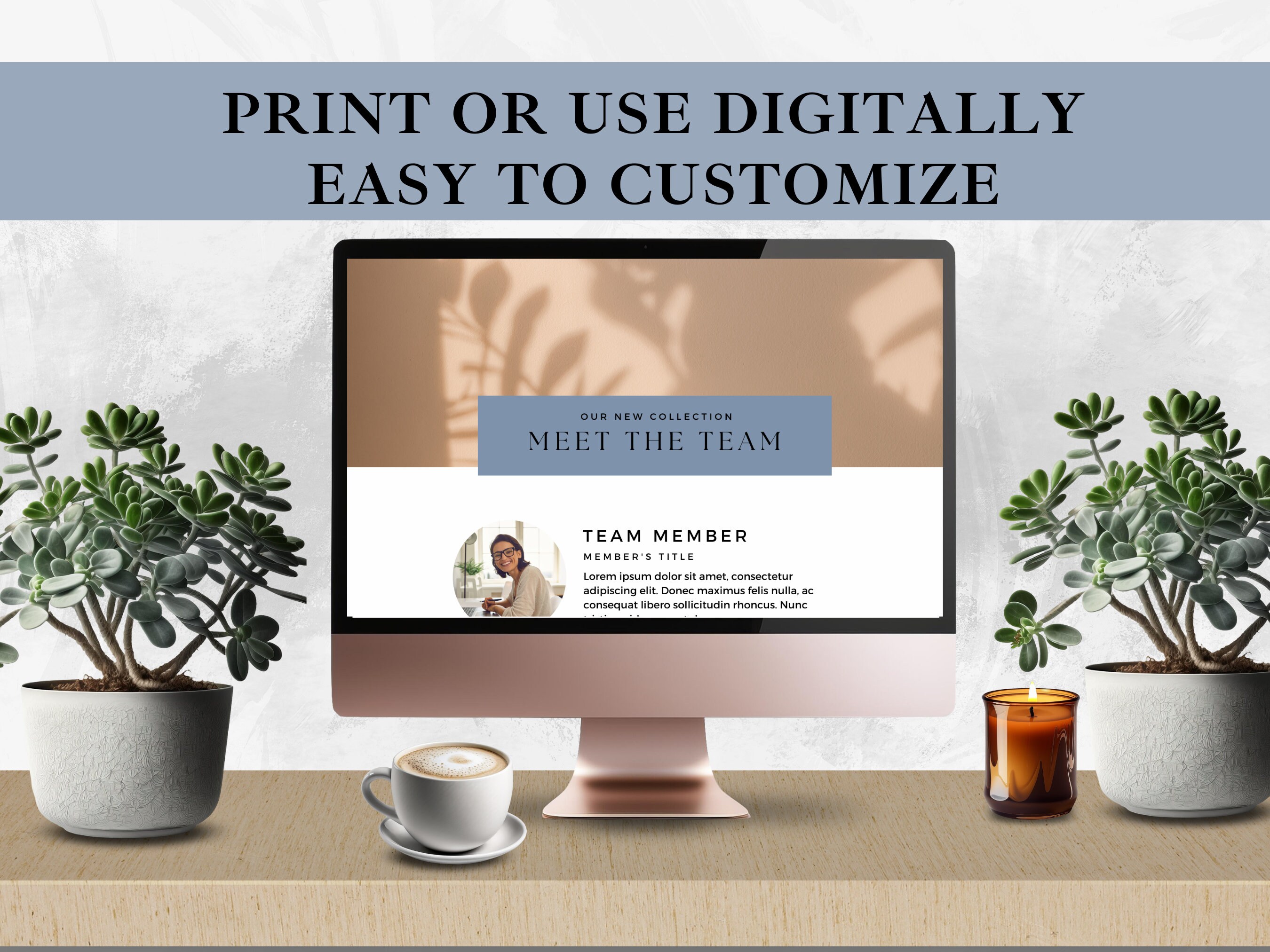 Virtual Assistant Package Canva Templates Client Packet