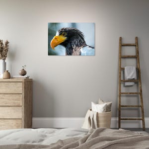 Könnte beinhalten: Gerahmter Druck eines Stellerschen Seeadlers. Der Adler hat dunkelbraune und weiße Federn, einen leuchtend gelben Schnabel und ein gelbes Auge. Der Hintergrund ist ein sanftes Blau und Grün. Der Druck wird an einer hellgrauen Wand angezeigt.