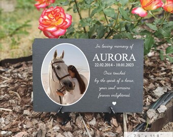 Targa commemorativa personalizzata per cavalli, regalo commemorativo per cavalli di Rainbowbridge