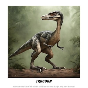 Może przedstawiać: Ilustracja Troodona, małego mięsożernego dinozaura, który żył w Ameryce Północnej około 76 milionów lat temu. Dinozaur ma długą szyję, małą głowę i ostre zęby. Uważa się, że Troodon miał największy mózg w stosunku do rozmiaru ciała, co skłoniło naukowców do przekonania, że był inteligentny.
