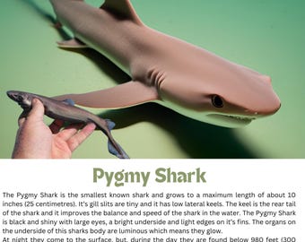 Tiburón pigmeo, Arte de pared de tiburones, Descarga digital de tiburones, Tiburones para niños, Datos divertidos y educativos sobre tiburones, Tiburones, Arte de pared para niños
