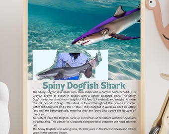 Tiburón pez perro espinoso, tiburones pequeños, tiburones pez perro, datos divertidos y educativos sobre tiburones, arte digital descargable de la pared de tiburones para niños, tiburones