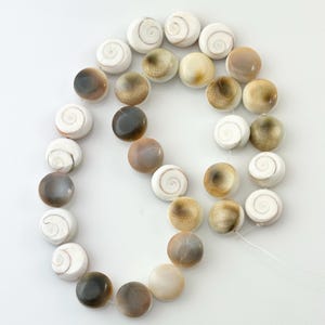 May include: A strand of circular beads made from Shiva eye shells, featuring a mix of smooth, polished surfaces in shades of white, cream, tan, and dark brown. Each bead displays a natural spiral pattern on one side and a solid, glossy finish.