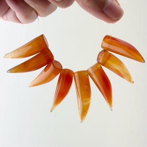 May include: A strand of carnelian beads, each bead is shaped like a pointed tooth. The beads are a deep orange color with white streaks.