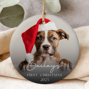 May include: Round Christmas ornament featuring a puppy wearing a Santa hat. The ornament has a gradient background and includes the text "Bailey's First Christmas 2025". The puppy is brown and white.