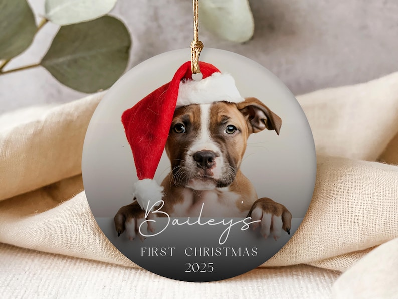 May include: Round Christmas ornament featuring a puppy wearing a Santa hat. The ornament has a gradient background and includes the text "Bailey's First Christmas 2025". The puppy is brown and white.
