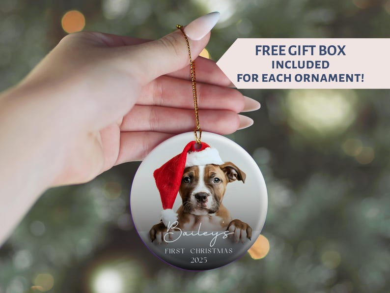 May include: A round Christmas ornament featuring a dog wearing a Santa hat. The dog is brown and white, with the name "Baileys" and "First Christmas 2025" printed on the ornament. A gold string is attached for hanging.