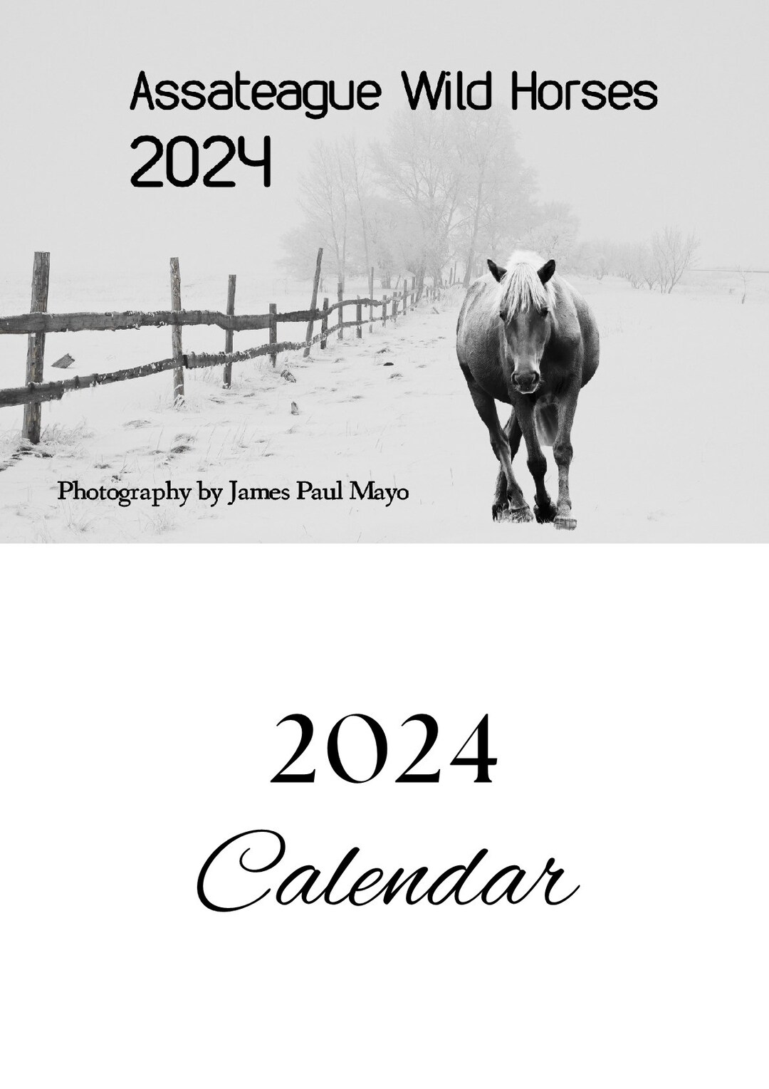 Assateague Wild Horses 2024 Calendar, Wild Horse Calendar, Horse