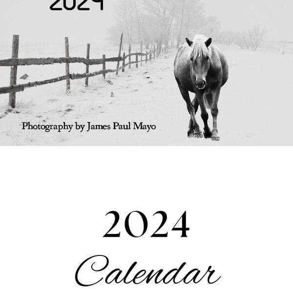 Wild Horses 2024 Calendar Etsy