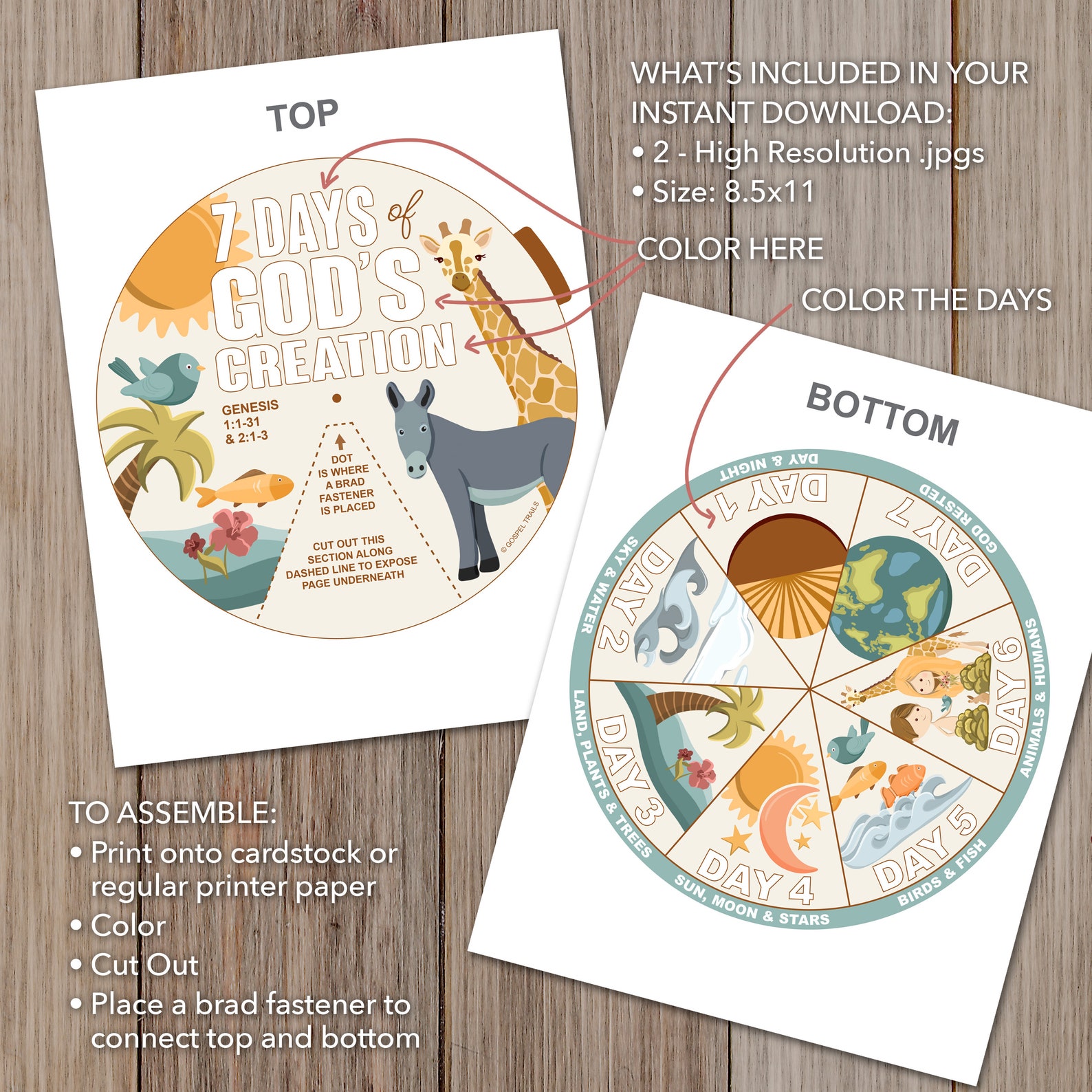 7 Days of Creation Coloring Wheel Printable Bible Activity - Etsy